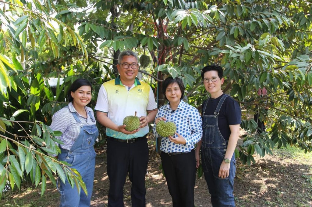 ทุเรียน ม.เกษตรฯ ลูกละ 5,000 บาท เพื่อสมทบทุนสร้าง รพ.เกษตรศาสตร์