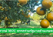วิพากษ์ MOU พรรคร่วมรัฐบาลด้านเกษตร แชร์ให้ถึงพรรคก้าวไกลและเพื่อไทย