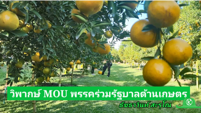 วิพากษ์ MOU พรรคร่วมรัฐบาลด้านเกษตร แชร์ให้ถึงพรรคก้าวไกลและเพื่อไทย