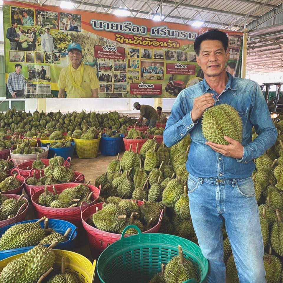 ถอดรหัสลับเทพทุเรียนเมืองตราด "เรือง ศรีนาราง" เกษตรกรดีเด่นแห่งชาติ สาขาอาชีพทำสวน(ทุเรียน) ปี 62 ของกรมส่งเสริมการเกษตร