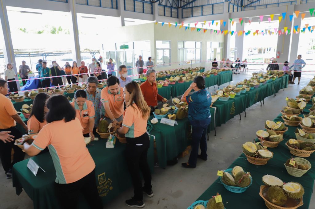 กรมส่งเสริมการเกษตร จัดประกวดทุเรียนพื้นเมืองกระบี่ สร้างจิตสำนึกอนุรักษ์และส่งเสริมการปลูกทุเรียนพื้นเมืองพันธุ์ดี