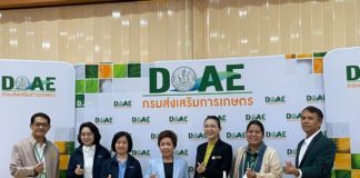 ไม้ยืนต้นและไม้มีค่า