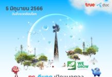 5 มิถุนายน วันสิ่งแวดล้อมโลก…ทรู-ดีแทค เปิดแนวทางรักษาความหลากหลายทางชีวภาพ รอบเสาสัญญาณครอบคลุมทุกพื้นที่ทั่วไทย