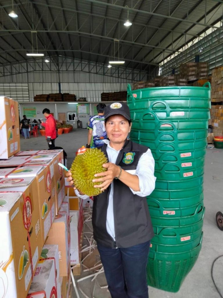 กรมวิชาการเกษตร สั่งคุมเข้มทุเรียนส่งออก หลังตรวจพบทุเรียนด้อยคุณภาพเพิ่มขึ้น