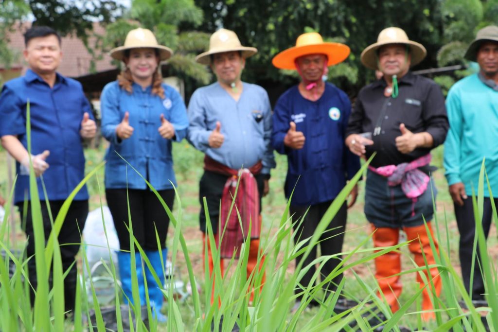 ประธานฯ สสท. เปิดฤกษ์ลงแขก ดำนา ปลูกพันธุ์ข้าวอินทรีย์ สกก.วัน วัน วัน