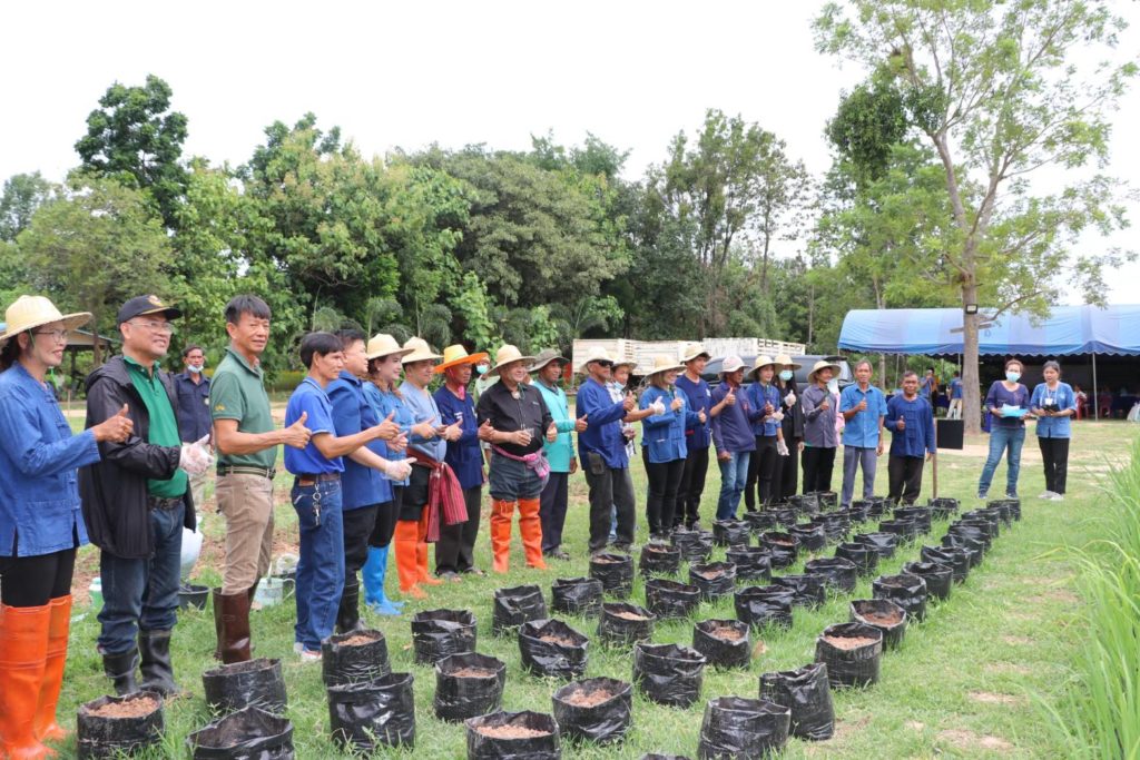 ประธานฯ สสท. เปิดฤกษ์ลงแขก ดำนา ปลูกพันธุ์ข้าวอินทรีย์ สกก.วัน วัน วัน