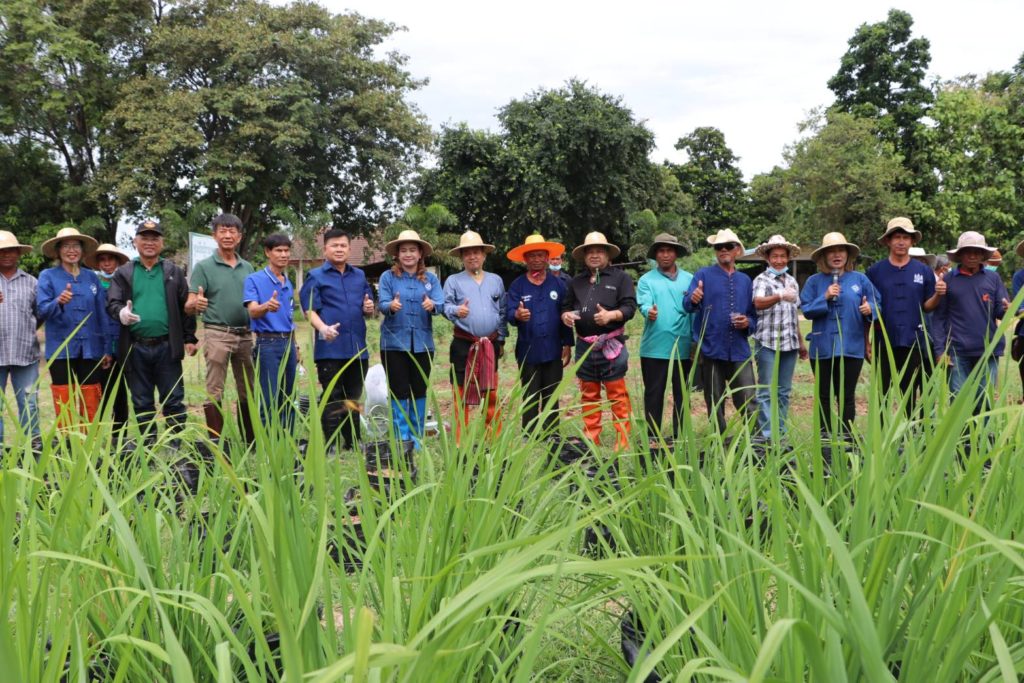 ประธานฯ สสท. เปิดฤกษ์ลงแขก ดำนา ปลูกพันธุ์ข้าวอินทรีย์ สกก.วัน วัน วัน