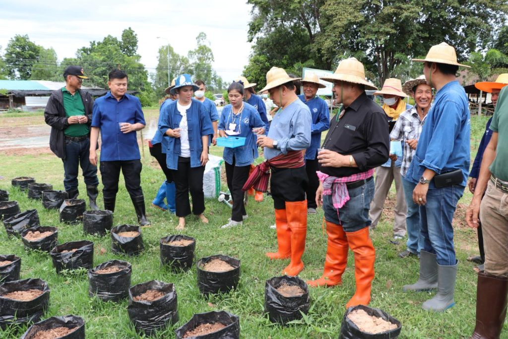 ประธานฯ สสท. เปิดฤกษ์ลงแขก ดำนา ปลูกพันธุ์ข้าวอินทรีย์ สกก.วัน วัน วัน