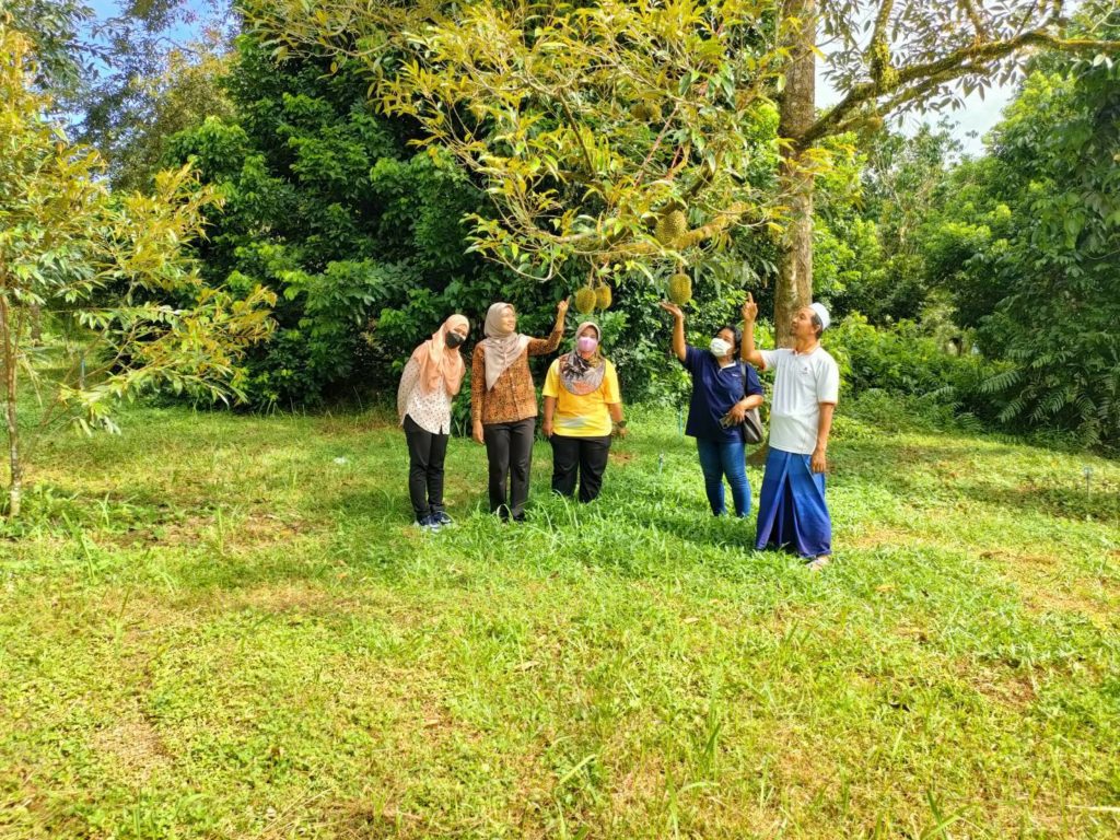 สศท.9 เกาะติดสถานการณ์ทุเรียน 3 จังหวัดชายแดนใต้ คุณภาพเยี่ยม เชิญลิ้มลอง ก.ค. - ก.ย. นี้