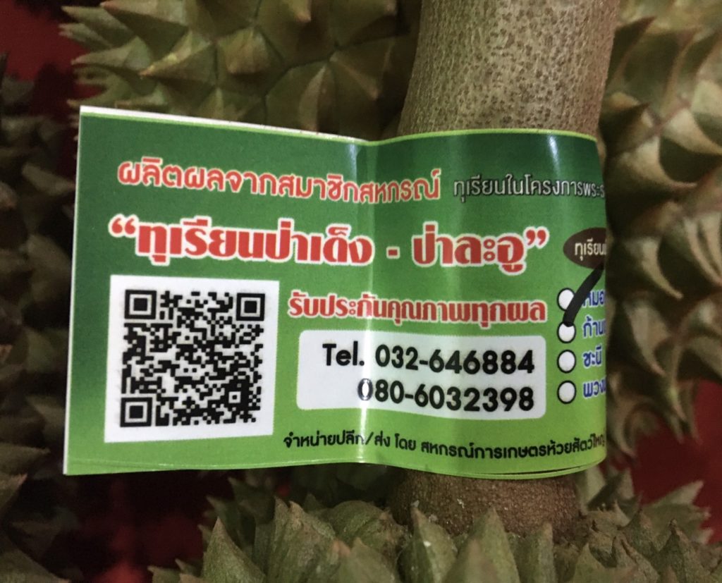 ชสท.ดัน สหกรณ์การเกษตรห้วยสัตว์ใหญ่ ขยายตลาด ทุเรียนป่าละอู