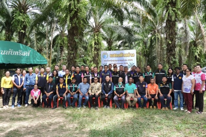 สมาชิกสหกรณ์นิคมพนม จำกัด รวมกลุ่มปลูกปาล์มน้ำมันยั่งยืน RSPO มุ่งรักษาสิ่งแวดล้อม รับผิดชอบชุมชน ขายผลผลิตได้ราคาสูงสร้างรายได้มั่นคง