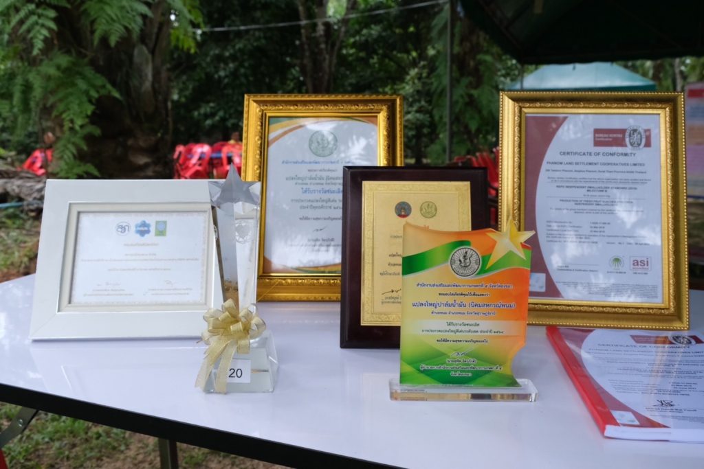 สมาชิกสหกรณ์นิคมพนม จำกัด รวมกลุ่มปลูกปาล์มน้ำมันยั่งยืน RSPO มุ่งรักษาสิ่งแวดล้อม รับผิดชอบชุมชน ขายผลผลิตได้ราคาสูงสร้างรายได้มั่นคง