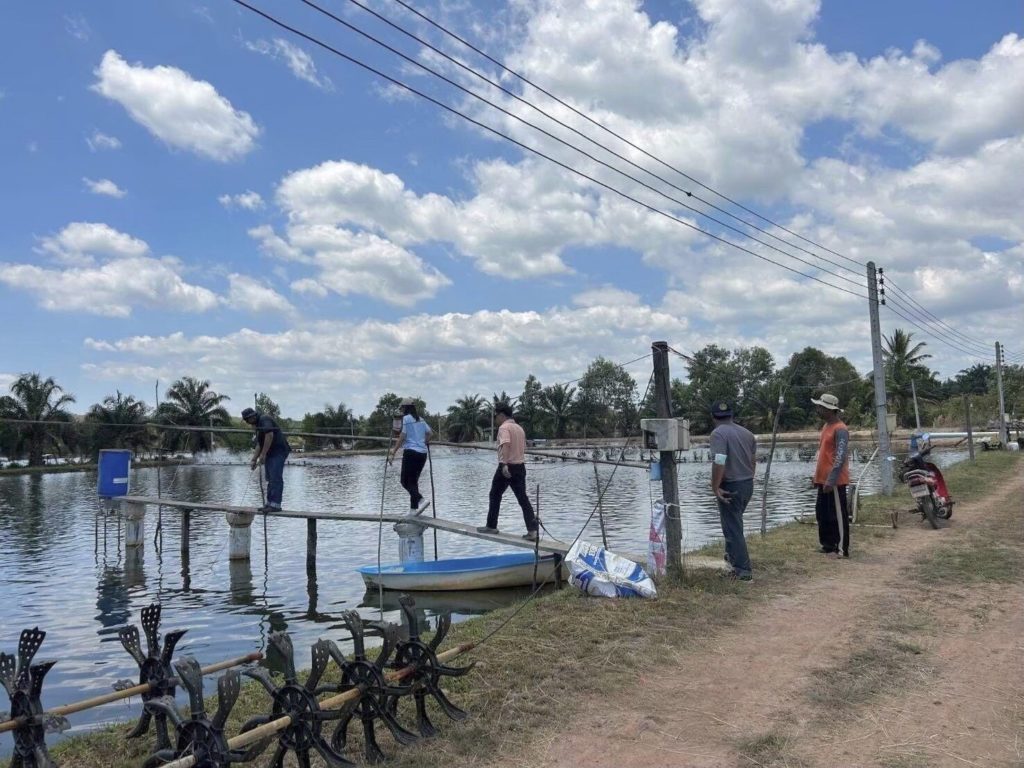 เกษตรกรเปิดใจหลังลองเลี้ยง "กุ้งขาวสิชล1" จากกรมประมง เผยเลี้ยงง่าย โตไว ปลอดโรค สร้างรายได้ด้วยสายพันธุ์กุ้งคุณภาพ