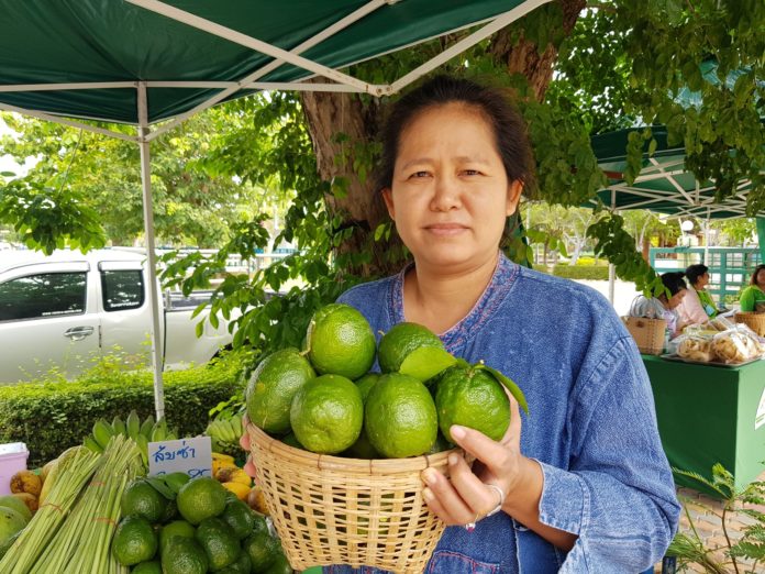 ตลาดเกษตรกรออนไลน์