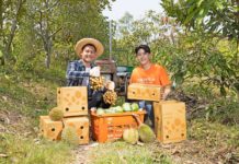 เคอรี่ เอ็กซ์เพรส แนะ 4 กุญแจสำคัญ ให้เจ้าของสวนผลไม้ได้เสิร์ฟความสดจากสวนถึงมือลูกค้าทั่วไทย