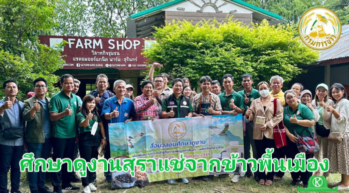 กรมการข้าว ขานรับนโยบายเร่งด่วน “ธรรมนัส” รุกเสริมรายได้ชาวนา ชูสุราแช่ข้าวพื้นเมืองสุดเจ๋ง