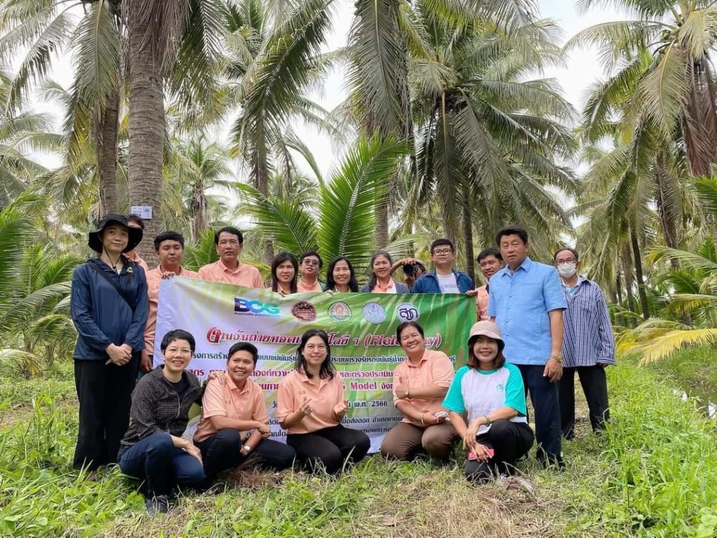 ตรวจ DNA แปลงแม่พันธุ์มะพร้าวน้ำหอม “ประยูร วิสุทธิไพศาล” พบหอมทุกต้นยันลูก 100%