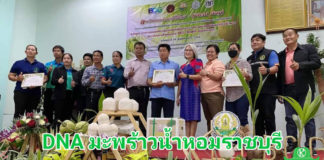 ตรวจ DNA แปลงแม่พันธุ์มะพร้าวน้ำหอม “ประยูร วิสุทธิไพศาล” พบหอมทุกต้นยันลูก 100%