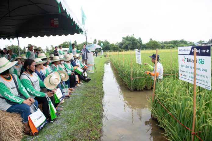 ซินเจนทา ดันไทยส่งออกข้าวเพิ่ม คิดนวัตกรรมปราบเชื้อรา แก้โรคในนาข้าว ช่วยเพิ่มผลผลิต ยกคุณภาพชีวิตชาวนาไทย