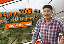 ดูแลทุเรียน 700 ต้น บนพื้นที่ 40 ไร่ ทำเองได้ บำรุงทั่วถึง ไม่ใช้แรงงานเพิ่ม