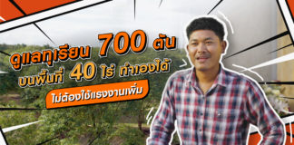 ดูแลทุเรียน 700 ต้น บนพื้นที่ 40 ไร่ ทำเองได้ บำรุงทั่วถึง ไม่ใช้แรงงานเพิ่ม