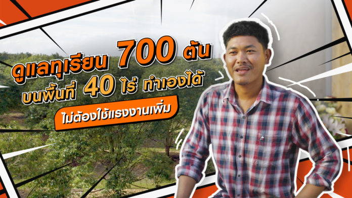 ดูแลทุเรียน 700 ต้น บนพื้นที่ 40 ไร่ ทำเองได้ บำรุงทั่วถึง ไม่ใช้แรงงานเพิ่ม