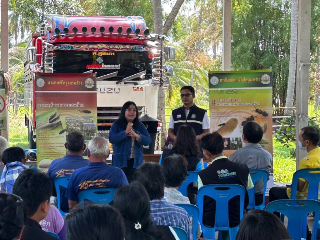 กรมวิชาการเกษตร ผนึกกำลัง สำนักงานเกษตรอำเภอทับสะแก ลุยสาธิตวิธีปราบ 2 แมลงศัตรูมะพร้าว สร้างความมั่นใจให้เกษตรกร