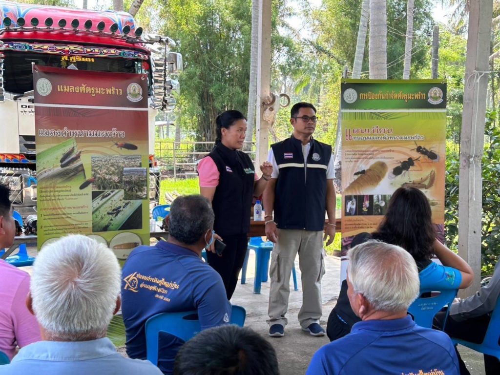 กรมวิชาการเกษตร ผนึกกำลัง สำนักงานเกษตรอำเภอทับสะแก ลุยสาธิตวิธีปราบ 2 แมลงศัตรูมะพร้าว สร้างความมั่นใจให้เกษตรกร