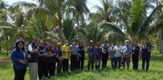 กรมวิชาการเกษตร ผนึกกำลัง สำนักงานเกษตรอำเภอทับสะแก ลุยสาธิตวิธีปราบ 2 แมลงศัตรูมะพร้าว สร้างความมั่นใจให้เกษตรกร