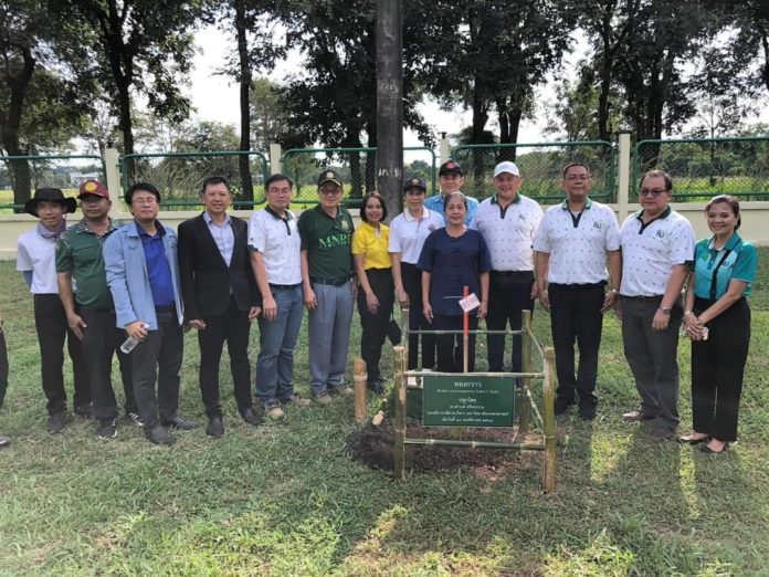 ม.เกษตรศาสตร์ นำองค์ความรู้ด้านรุกขกรรมและศาสตร์แห่งแผ่นดิน ร่วมกับจังหวัดปราจีนบุรี และ ส.มก. จัดโครงการสืบสานถนนสายต้นไม้สวยคู่เมืองปราจีนบุรี