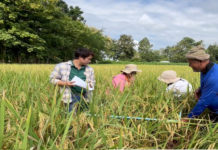 ศูนย์เมล็ดพันธุ์ข้าวกำแพงเพชร มุ่งผลิตเมล็ดพันธุ์ข้าวคุณภาพ และถ่ายทอดความรู้สู่เกษตรกร