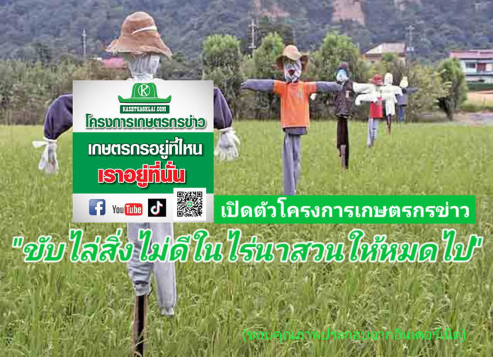 โครงการเกษตรกรข่าว “เกษตรกรอยู่ที่ไหนเราอยู่ที่นั่น” กับเกษตรก้าวไกลไปด้วยกัน