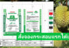 เตรียมเปิดตัวปุ๋ยเกษตรก้าวไกล “อร่อยทุกเม็ดเด็ดทุกกระสอบ” เปิดให้จองราคาพิเศษก่อนใคร