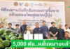 MOU 5,000 ตัน! กล้วยอีสานพร้อมผงาดในตลาดญี่ปุ่น ยึดโมเดลแปลงใหญ่สุขไพบูลย์