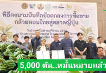 MOU 5,000 ตัน! กล้วยอีสานพร้อมผงาดในตลาดญี่ปุ่น ยึดโมเดลแปลงใหญ่สุขไพบูลย์