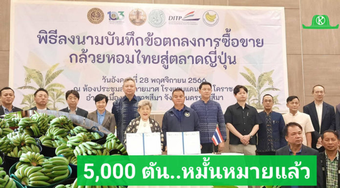MOU 5,000 ตัน! กล้วยอีสานพร้อมผงาดในตลาดญี่ปุ่น ยึดโมเดลแปลงใหญ่สุขไพบูลย์