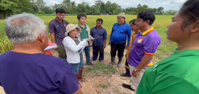 ศูนย์เมล็ดพันธุ์ข้าวกำแพงเพชร กับภารกิจถ่ายทอดองค์ความรู้ให้แก่เกษตรกร