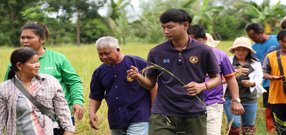 ศูนย์เมล็ดพันธุ์ข้าวกำแพงเพชร กับภารกิจถ่ายทอดองค์ความรู้ให้แก่เกษตรกร