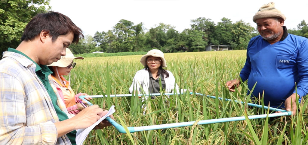 ศูนย์เมล็ดพันธุ์ข้าวกำแพงเพชร กับภารกิจถ่ายทอดองค์ความรู้ให้แก่เกษตรกร