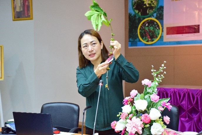 กรมวิชาการเกษตรโชว์นวัตกรรมแผ่นเทียบสีประเมินความสุกแก่ผลกาแฟ สะดวก รวดเร็ว ง่ายต่อการใช้งาน สร้างรายได้เพิ่มให้เกษตรกร