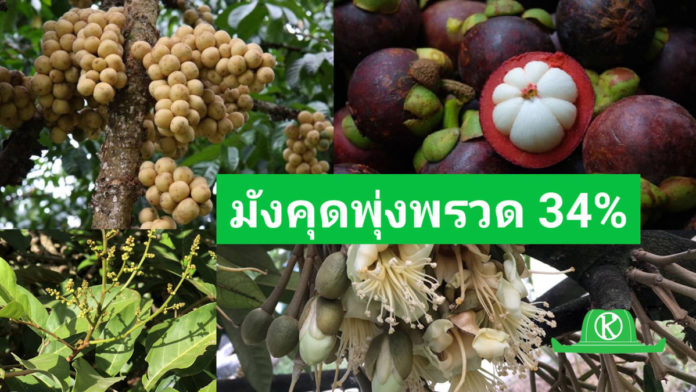 สศท.6 เผยผลพยากรณ์รอบแรก ไม้ผลภาคตะวันออก ปี 67 มังคุดพรวด ร้อยละ 34 รวม 4 ชนิด 1.19 ล้านตัน