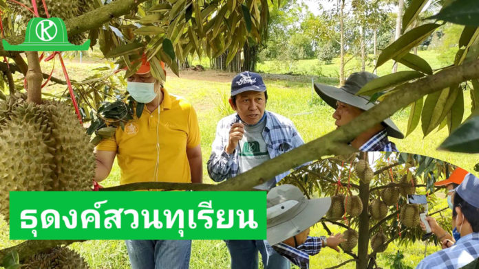 เกษตรก้าวไกลจะออกธุดงค์สวนทุเรียนภาคตะวันออก ขอเชิญร่วมเดินทางไปด้วยกัน