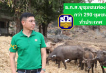 ธ.ก.ส. ขับเคลื่อน Agro-Tourism ชูชุมชนบ้านสามัคคีธรรม ต้นแบบชุมชนท่องเที่ยววิถีไทย