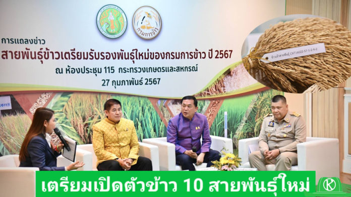 รมว.ธรรมนัส เผยข่าวดี กรมการข้าว เตรียมคลอดข้าว 10 สายพันธุ์ใหม่ ชูคุณภาพดี ตรงตามความต้องการของชาวนาและผู้บริโภค