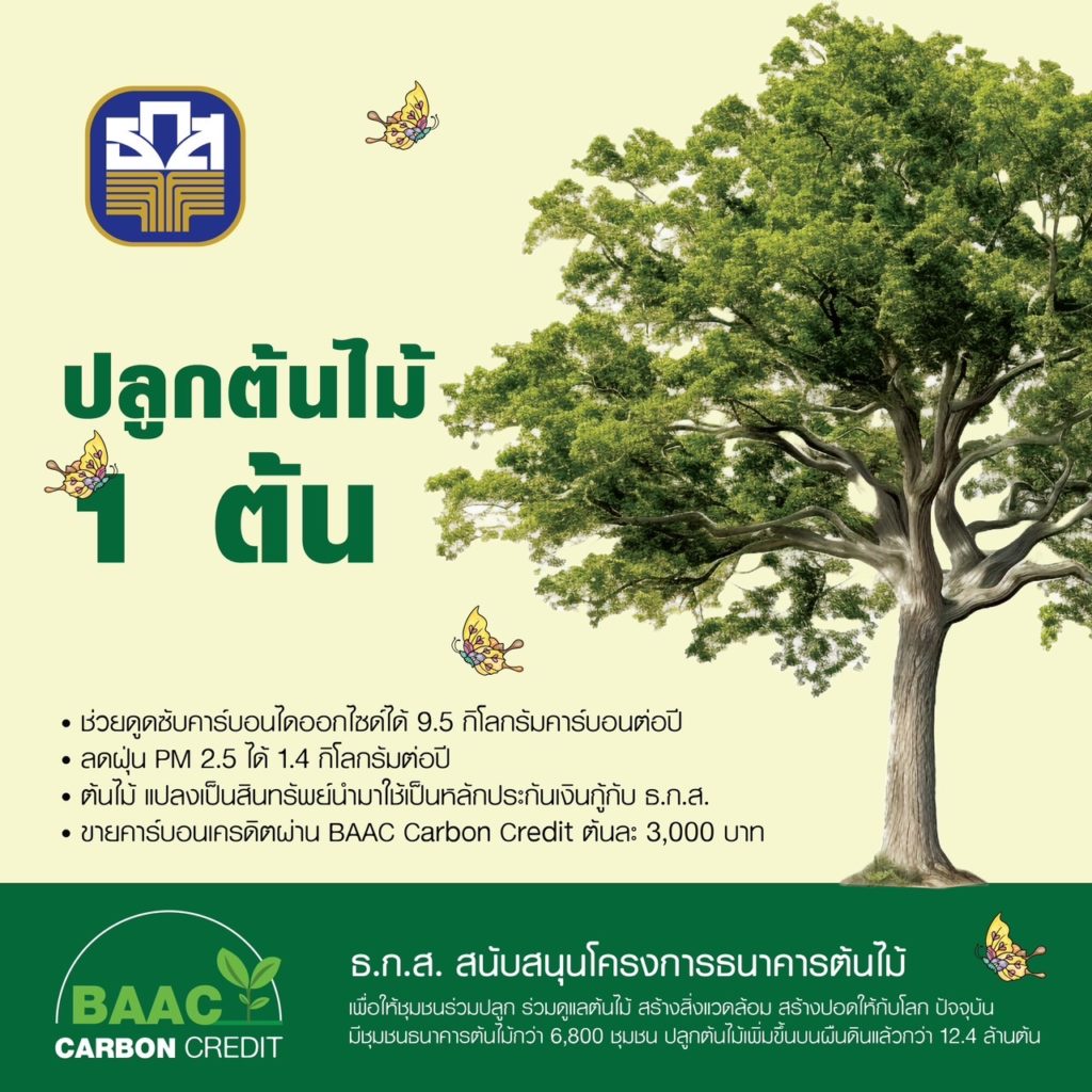 ธ.ก.ส. เปิดโครงการซื้อ-ขายคาร์บอนเครดิต สร้างสถิติโลกรับซื้อตันละ 3,000 บาท