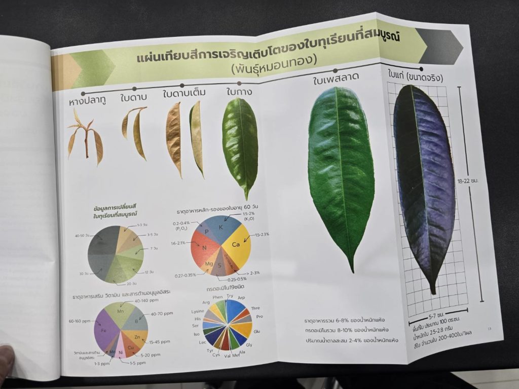 ในงานรับเอกสาร AGZ Research Annual Report 2024 ฟรี!!