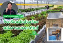 กรมวิชาการเกษตร โชว์นวัตกรรมโรงเรือนผักอัจฉริยะพลังงานแสงอาทิตย์