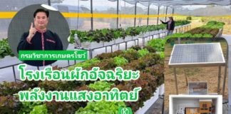 กรมวิชาการเกษตร โชว์นวัตกรรมโรงเรือนผักอัจฉริยะพลังงานแสงอาทิตย์