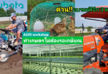 คูโบต้าจัดให้ฟรี!! AGRI WORKSHOP ทำเกษตรไม่ต้องรอเกษียณ จัดอีก 3 ครั้ง อย่าพลาด!!