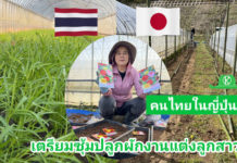 คนไทยในญี่ปุ่นเตรียมสร้างซุ้มผักและดอกไม้เพื่องานแต่งลูกสาวที่เมืองชิบะ